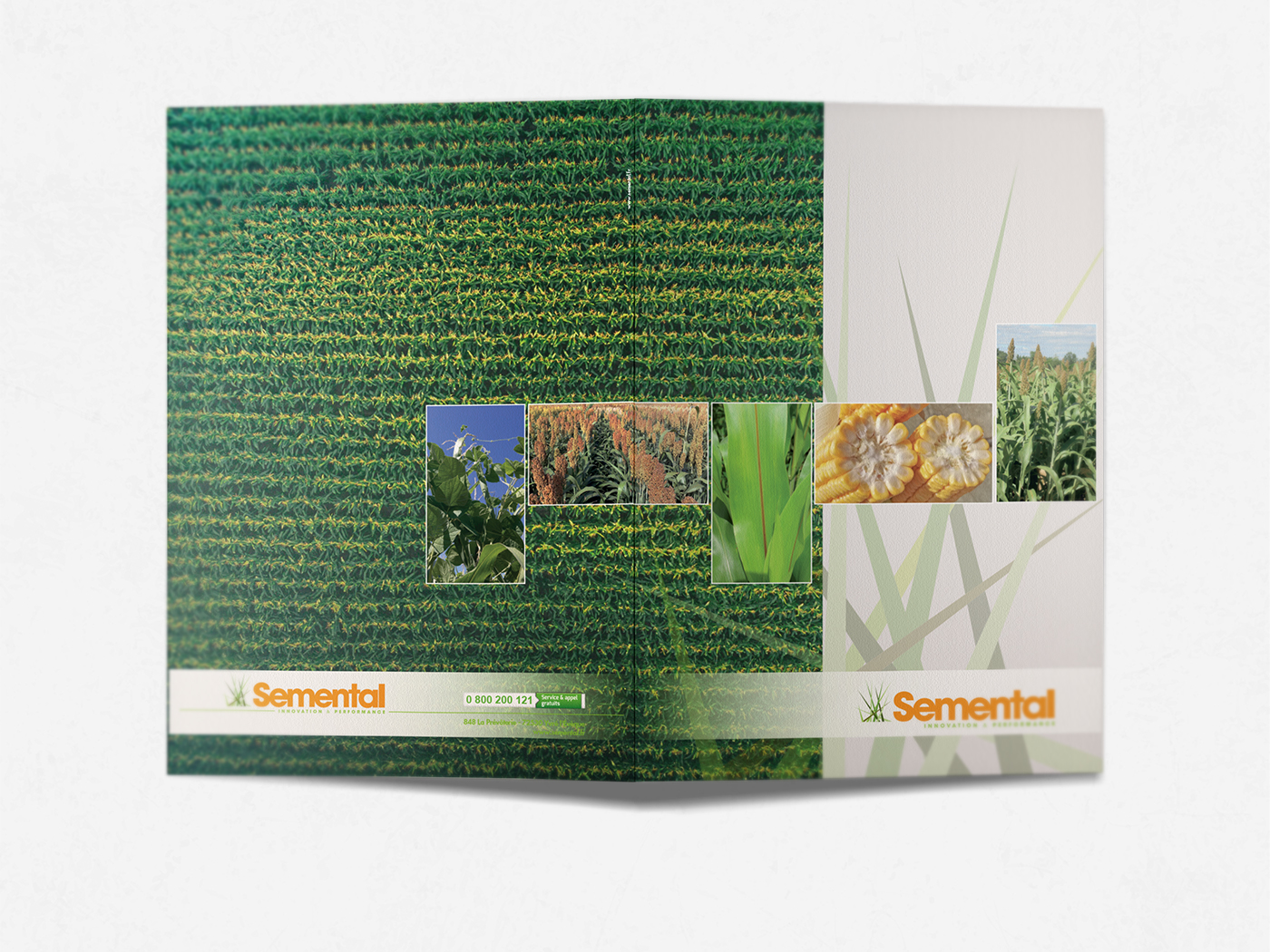 pochettes Semental photo 2