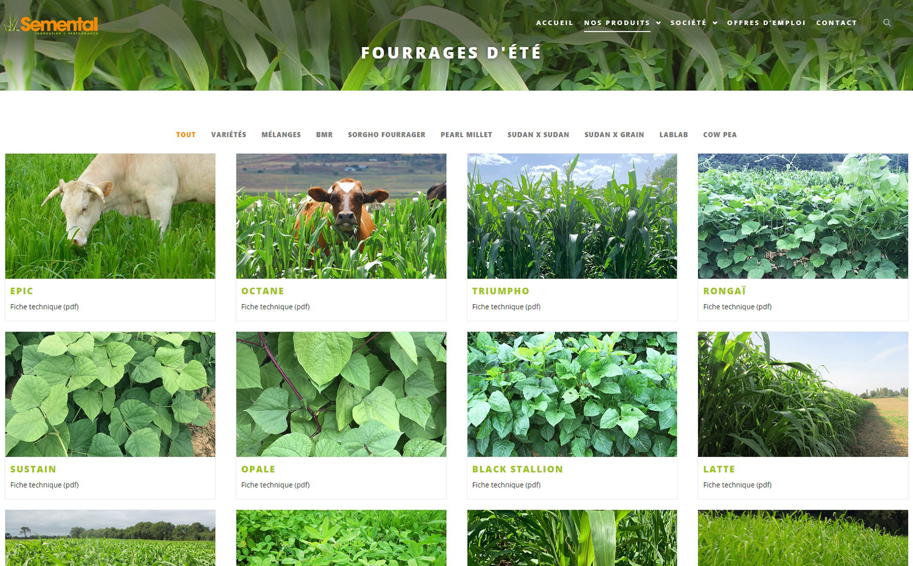 projet Semental photo 1